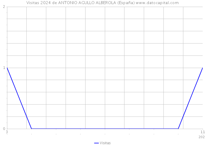 Visitas 2024 de ANTONIO AGULLO ALBEROLA (España) 