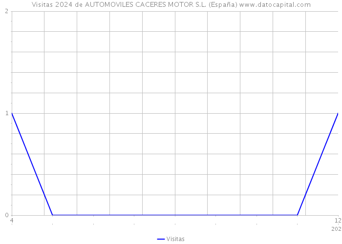 Visitas 2024 de AUTOMOVILES CACERES MOTOR S.L. (España) 