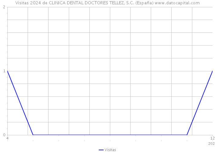 Visitas 2024 de CLINICA DENTAL DOCTORES TELLEZ, S.C. (España) 