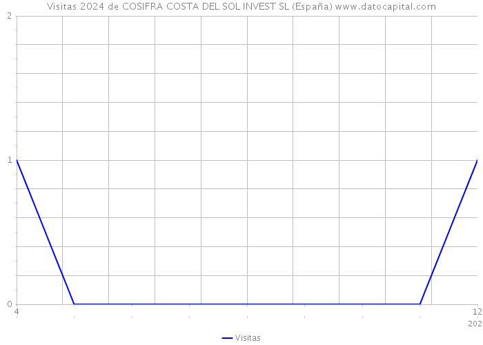 Visitas 2024 de COSIFRA COSTA DEL SOL INVEST SL (España) 