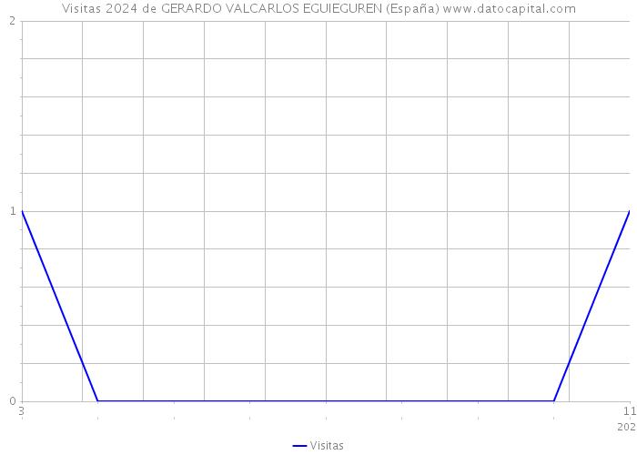 Visitas 2024 de GERARDO VALCARLOS EGUIEGUREN (España) 