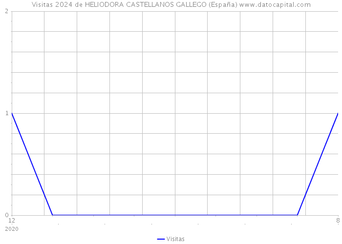 Visitas 2024 de HELIODORA CASTELLANOS GALLEGO (España) 