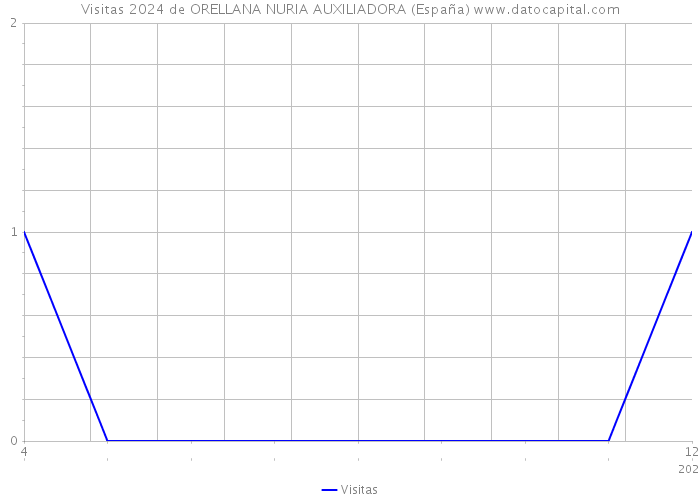 Visitas 2024 de ORELLANA NURIA AUXILIADORA (España) 
