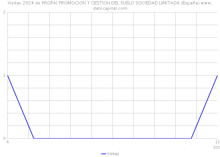 Visitas 2024 de PROPAI PROMOCION Y GESTION DEL SUELO SOCIEDAD LIMITADA (España) 