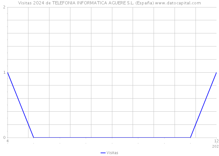 Visitas 2024 de TELEFONIA INFORMATICA AGUERE S.L. (España) 