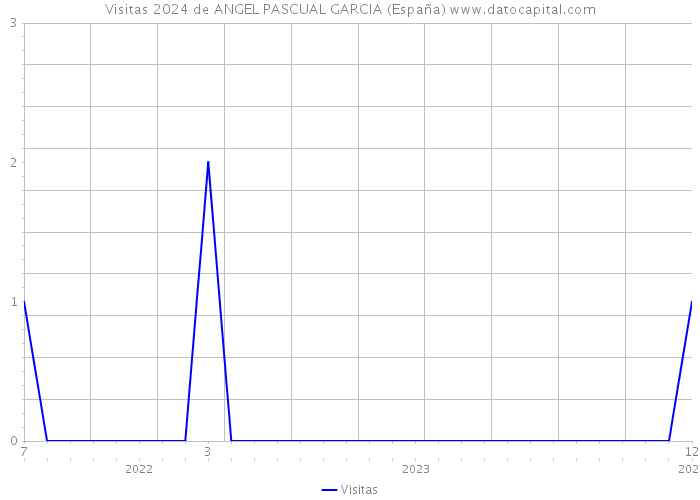 Visitas 2024 de ANGEL PASCUAL GARCIA (España) 