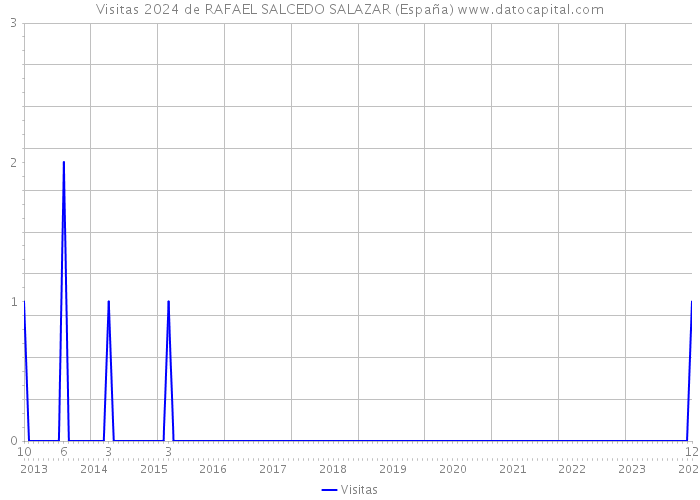 Visitas 2024 de RAFAEL SALCEDO SALAZAR (España) 