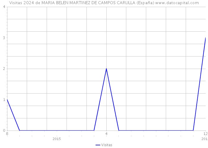 Visitas 2024 de MARIA BELEN MARTINEZ DE CAMPOS CARULLA (España) 