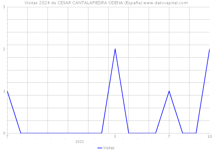 Visitas 2024 de CESAR CANTALAPIEDRA ODENA (España) 