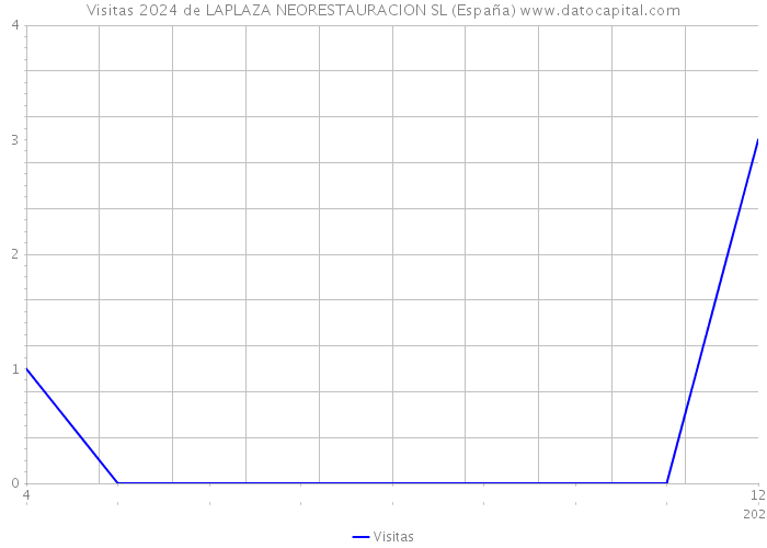 Visitas 2024 de LAPLAZA NEORESTAURACION SL (España) 