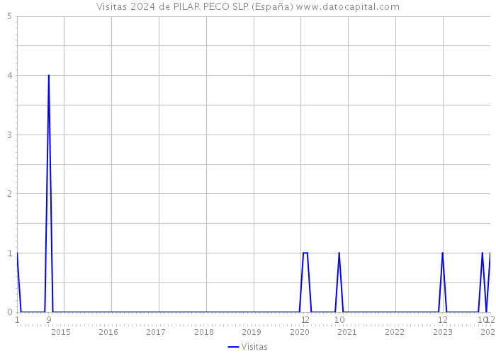 Visitas 2024 de PILAR PECO SLP (España) 