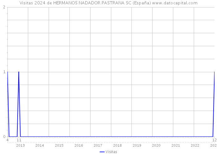 Visitas 2024 de HERMANOS NADADOR PASTRANA SC (España) 