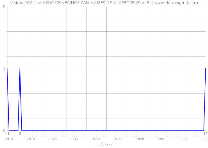Visitas 2024 de ASOC DE VECINOS SAN MAMES DE VILAPEDRE (España) 
