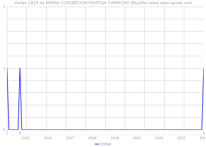 Visitas 2024 de MARIA CONCEPCION PANTOJA CAMACHO (España) 