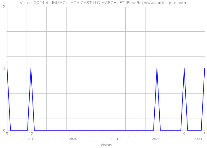 Visitas 2024 de INMACULADA CASTILLO MARCHUET (España) 