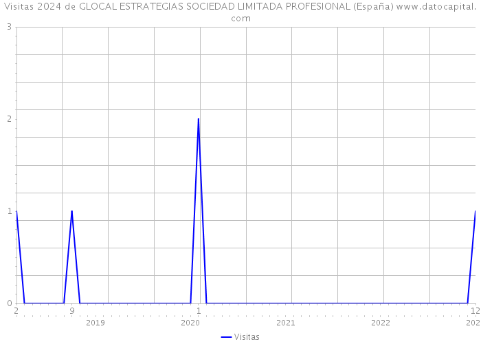 Visitas 2024 de GLOCAL ESTRATEGIAS SOCIEDAD LIMITADA PROFESIONAL (España) 