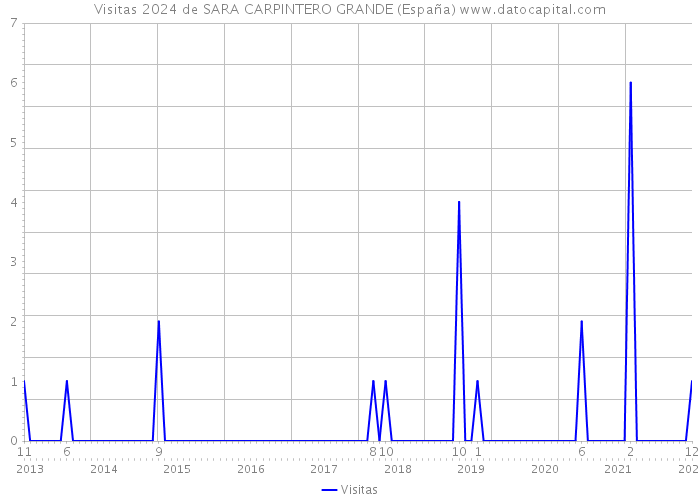 Visitas 2024 de SARA CARPINTERO GRANDE (España) 