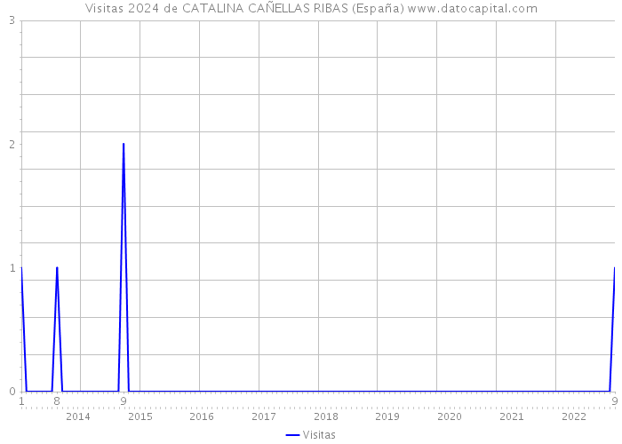 Visitas 2024 de CATALINA CAÑELLAS RIBAS (España) 