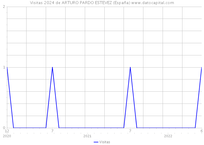 Visitas 2024 de ARTURO PARDO ESTEVEZ (España) 