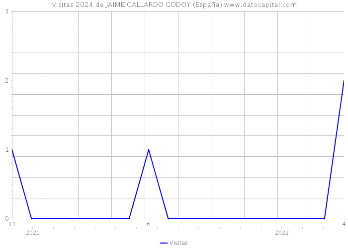 Visitas 2024 de JAIME GALLARDO GODOY (España) 