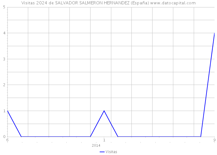 Visitas 2024 de SALVADOR SALMERON HERNANDEZ (España) 