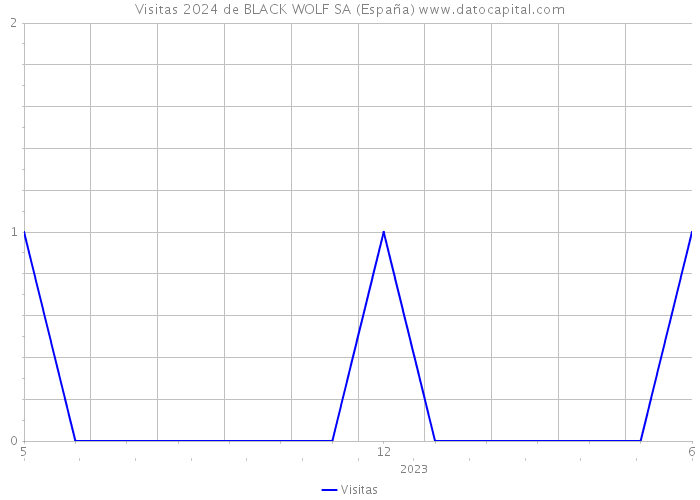 Visitas 2024 de BLACK WOLF SA (España) 