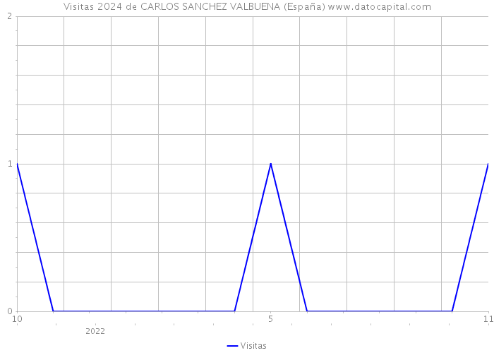 Visitas 2024 de CARLOS SANCHEZ VALBUENA (España) 