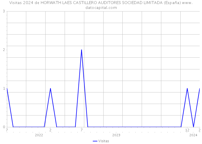 Visitas 2024 de HORWATH LAES CASTILLERO AUDITORES SOCIEDAD LIMITADA (España) 