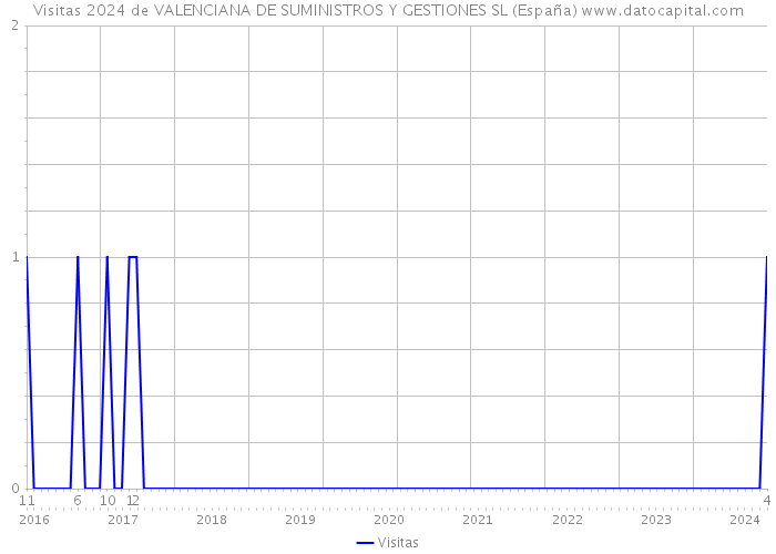 Visitas 2024 de VALENCIANA DE SUMINISTROS Y GESTIONES SL (España) 