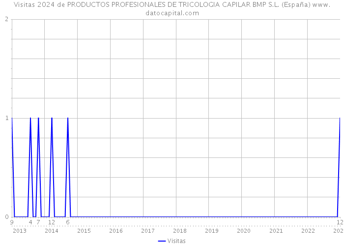 Visitas 2024 de PRODUCTOS PROFESIONALES DE TRICOLOGIA CAPILAR BMP S.L. (España) 