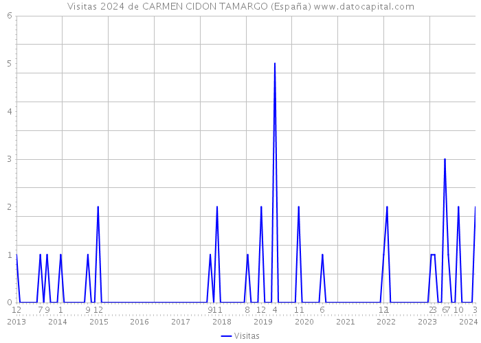 Visitas 2024 de CARMEN CIDON TAMARGO (España) 