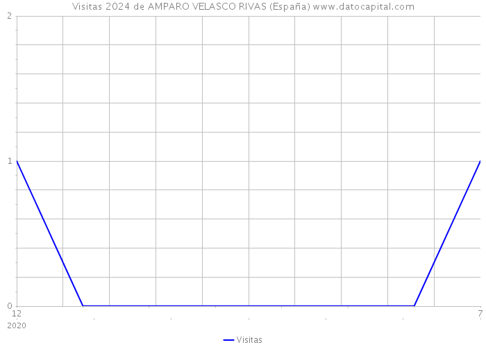 Visitas 2024 de AMPARO VELASCO RIVAS (España) 
