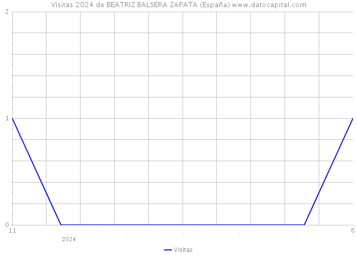 Visitas 2024 de BEATRIZ BALSERA ZAPATA (España) 