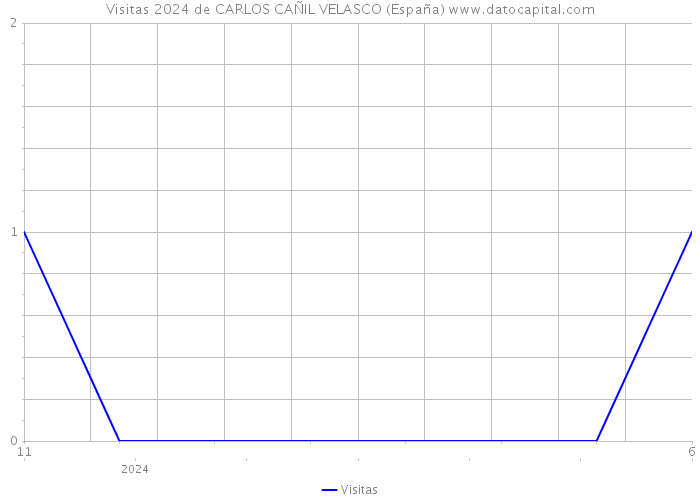 Visitas 2024 de CARLOS CAÑIL VELASCO (España) 
