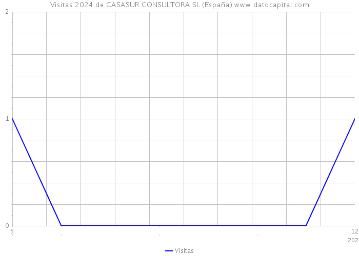 Visitas 2024 de CASASUR CONSULTORA SL (España) 