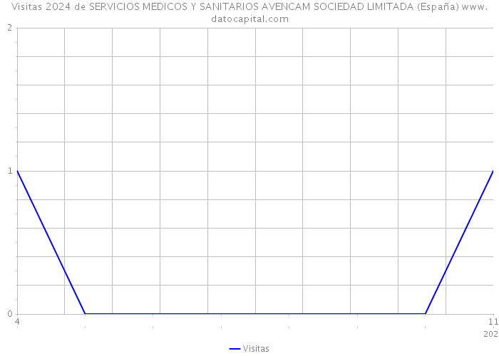 Visitas 2024 de SERVICIOS MEDICOS Y SANITARIOS AVENCAM SOCIEDAD LIMITADA (España) 