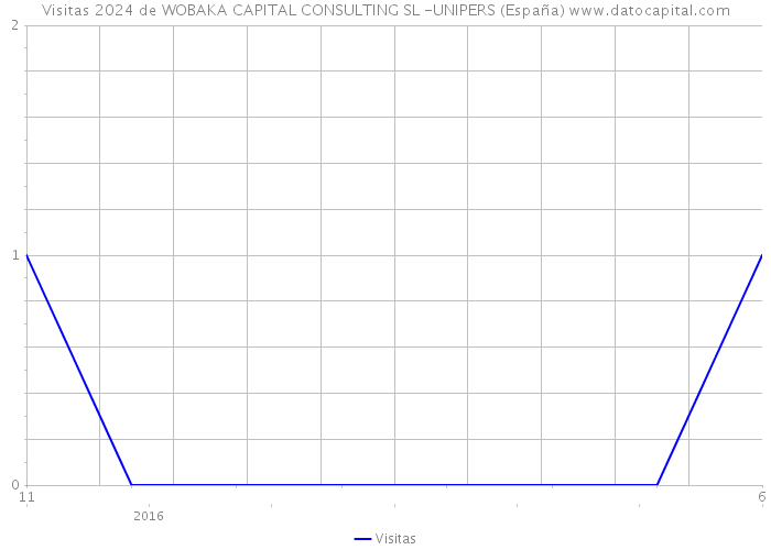 Visitas 2024 de WOBAKA CAPITAL CONSULTING SL -UNIPERS (España) 