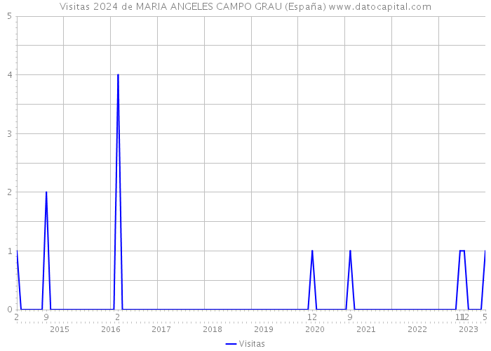 Visitas 2024 de MARIA ANGELES CAMPO GRAU (España) 