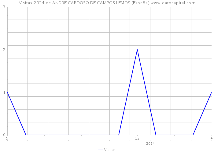 Visitas 2024 de ANDRE CARDOSO DE CAMPOS LEMOS (España) 