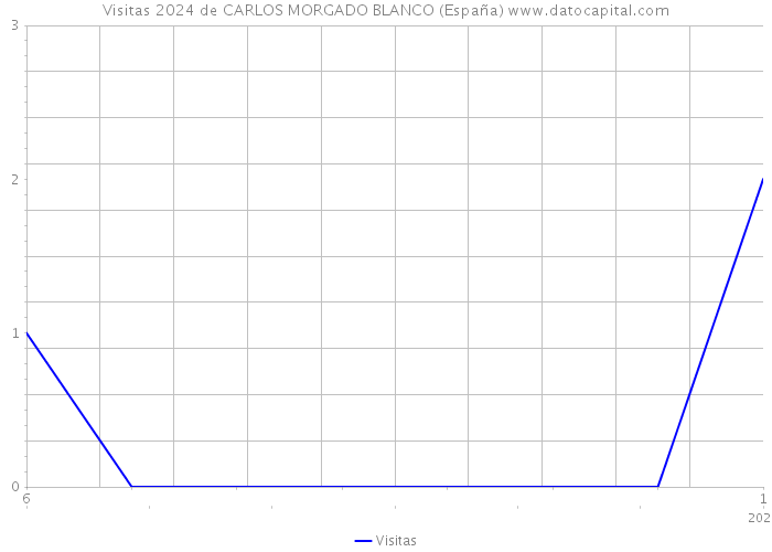 Visitas 2024 de CARLOS MORGADO BLANCO (España) 