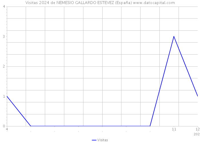Visitas 2024 de NEMESIO GALLARDO ESTEVEZ (España) 