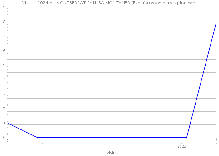 Visitas 2024 de MONTSERRAT PALLISA MONTANER (España) 