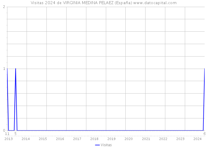 Visitas 2024 de VIRGINIA MEDINA PELAEZ (España) 