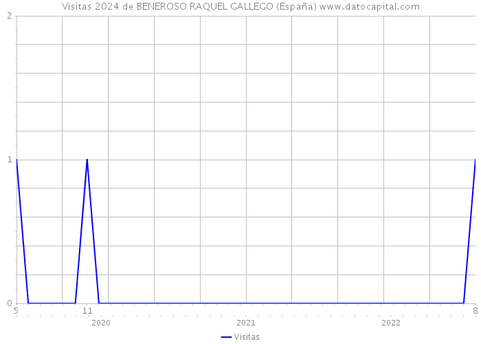 Visitas 2024 de BENEROSO RAQUEL GALLEGO (España) 