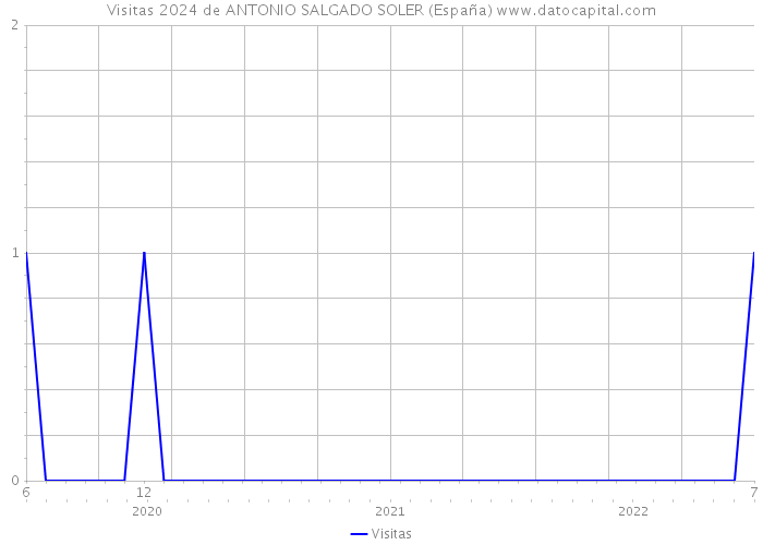 Visitas 2024 de ANTONIO SALGADO SOLER (España) 