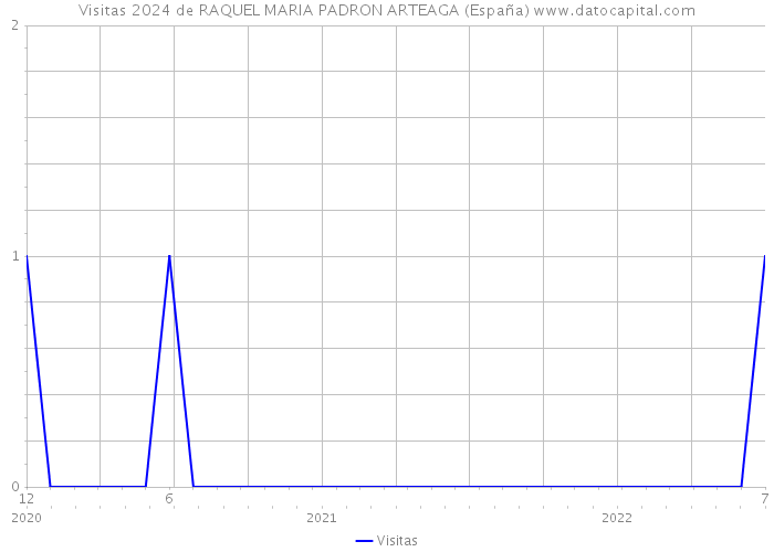 Visitas 2024 de RAQUEL MARIA PADRON ARTEAGA (España) 