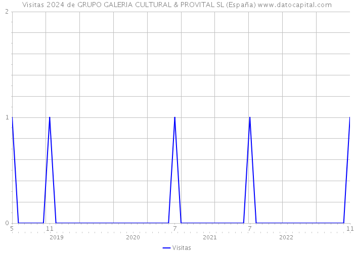 Visitas 2024 de GRUPO GALERIA CULTURAL & PROVITAL SL (España) 