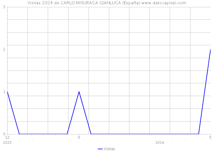 Visitas 2024 de CARLO MISURACA GIANLUCA (España) 