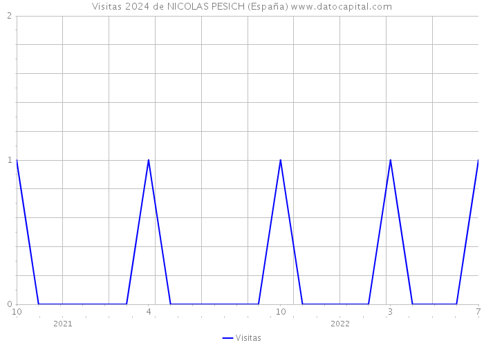 Visitas 2024 de NICOLAS PESICH (España) 