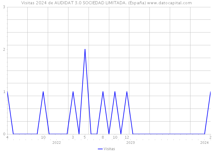 Visitas 2024 de AUDIDAT 3.0 SOCIEDAD LIMITADA. (España) 